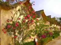 /album/paradis-2-une-residence-de-saly/villas-mitoyennes-jpg/